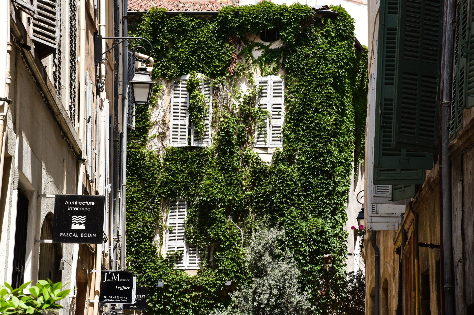 Jardinage : Pourquoi 85 % des Français choisissent de déléguer ?