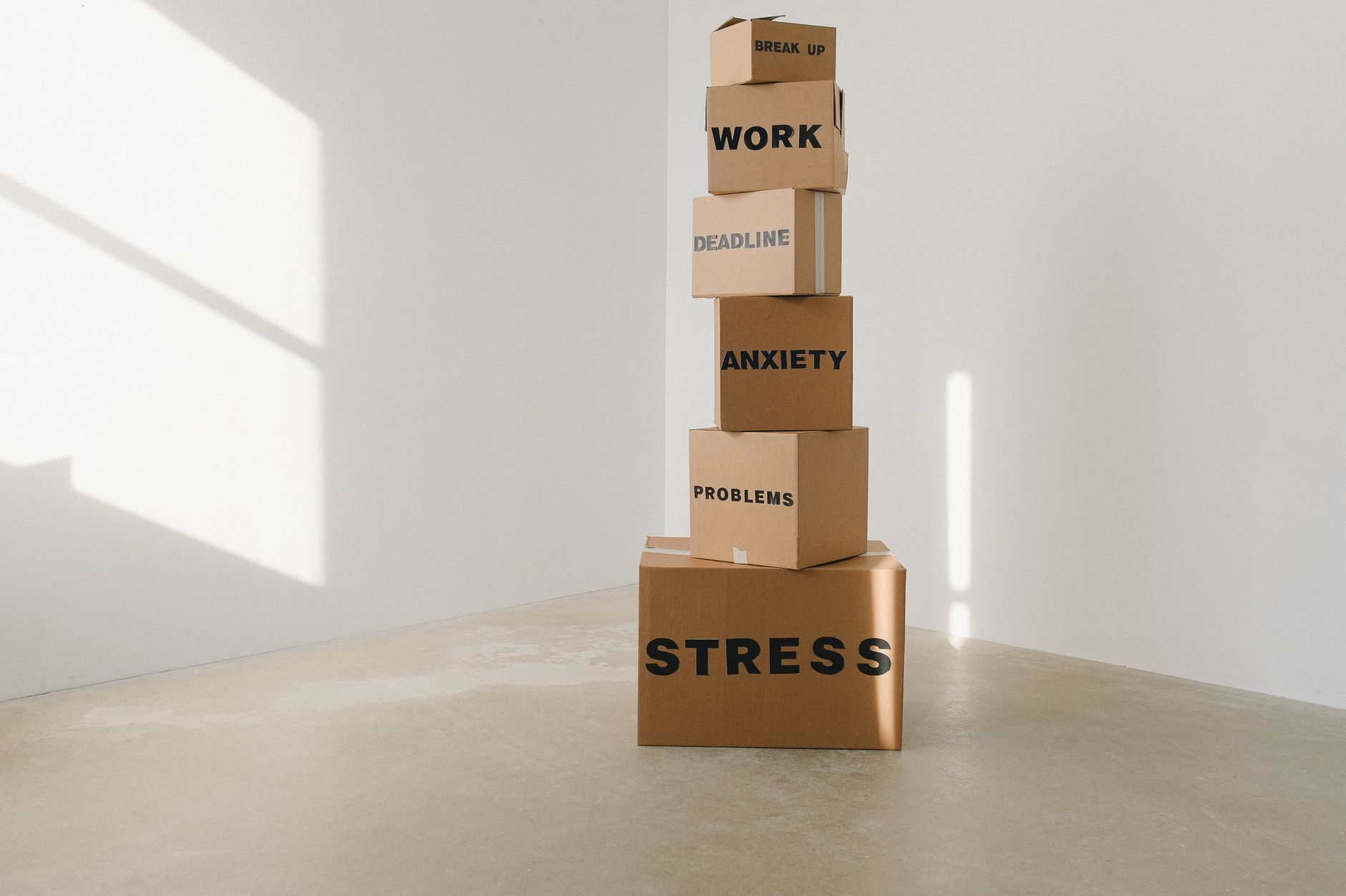 Déménager sans stress : les clés d'une préparation réussie